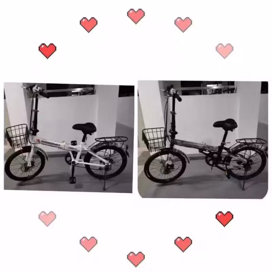 变速折叠自行车 图片 1