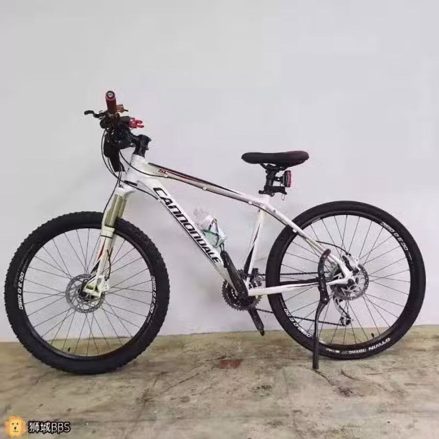 Cannondale Bikes 佳能戴尔自行车里的大G铝车之王 图片 1