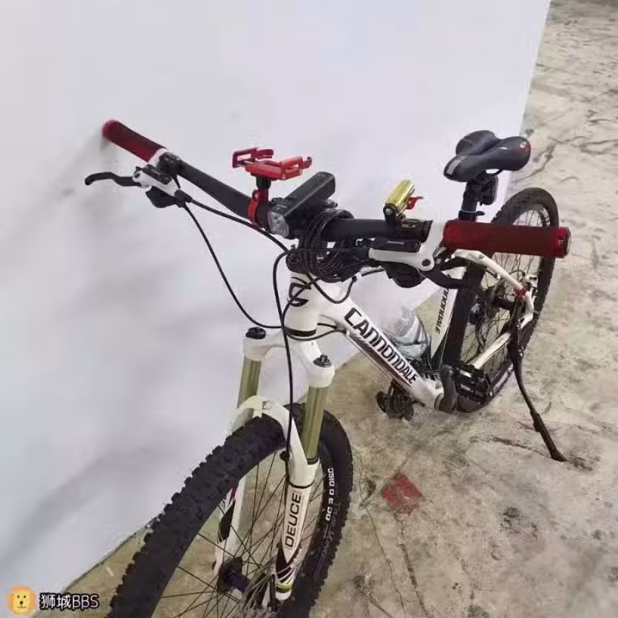 Cannondale Bikes 佳能戴尔自行车里的大G铝车之王 图片 2
