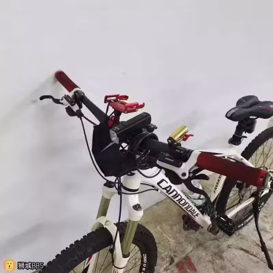 Cannondale Bikes 佳能戴尔自行车里的大G铝车之王 图片 4