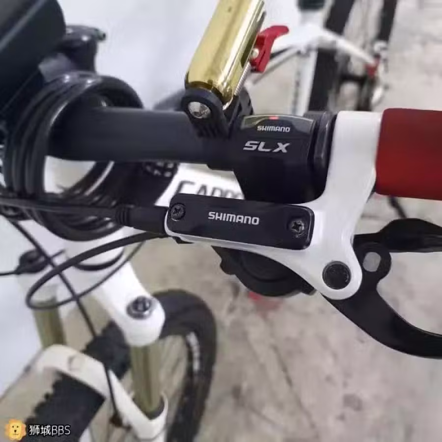 Cannondale Bikes 佳能戴尔自行车里的大G铝车之王 图片 6