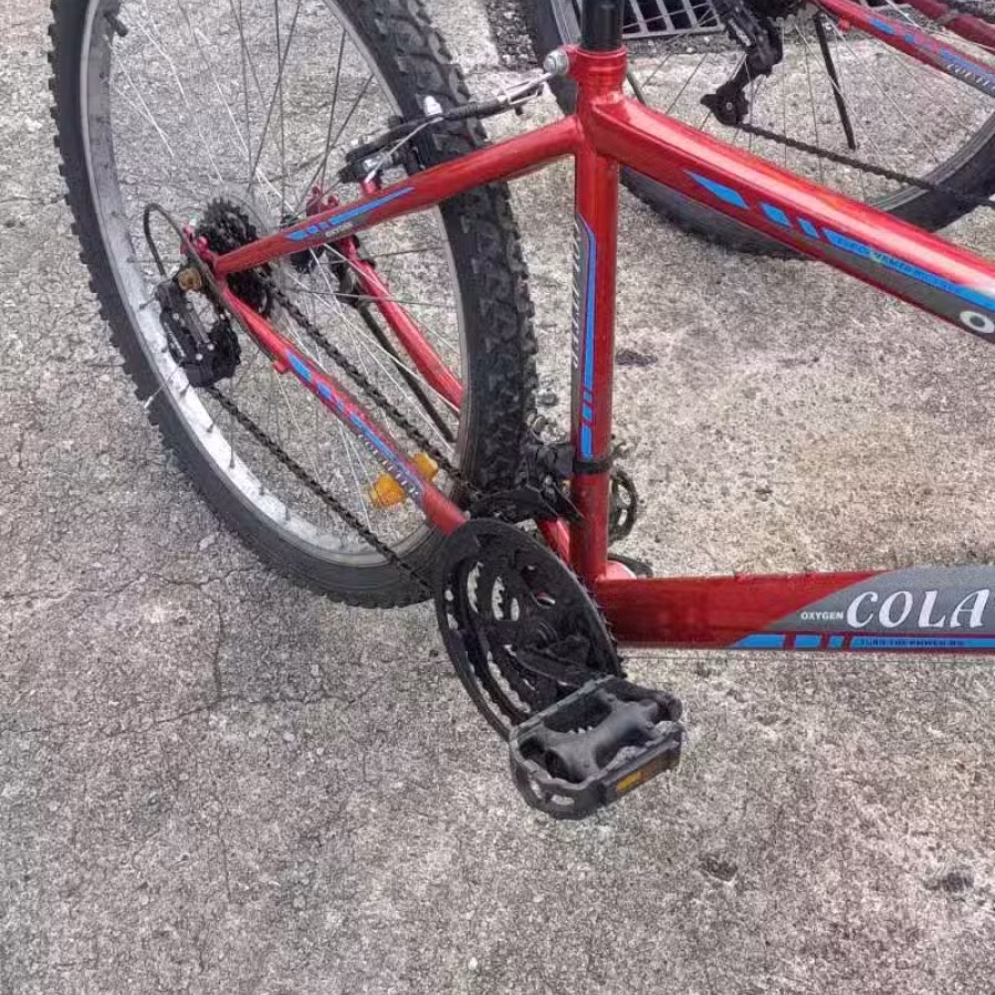 脚踏车 图片 1