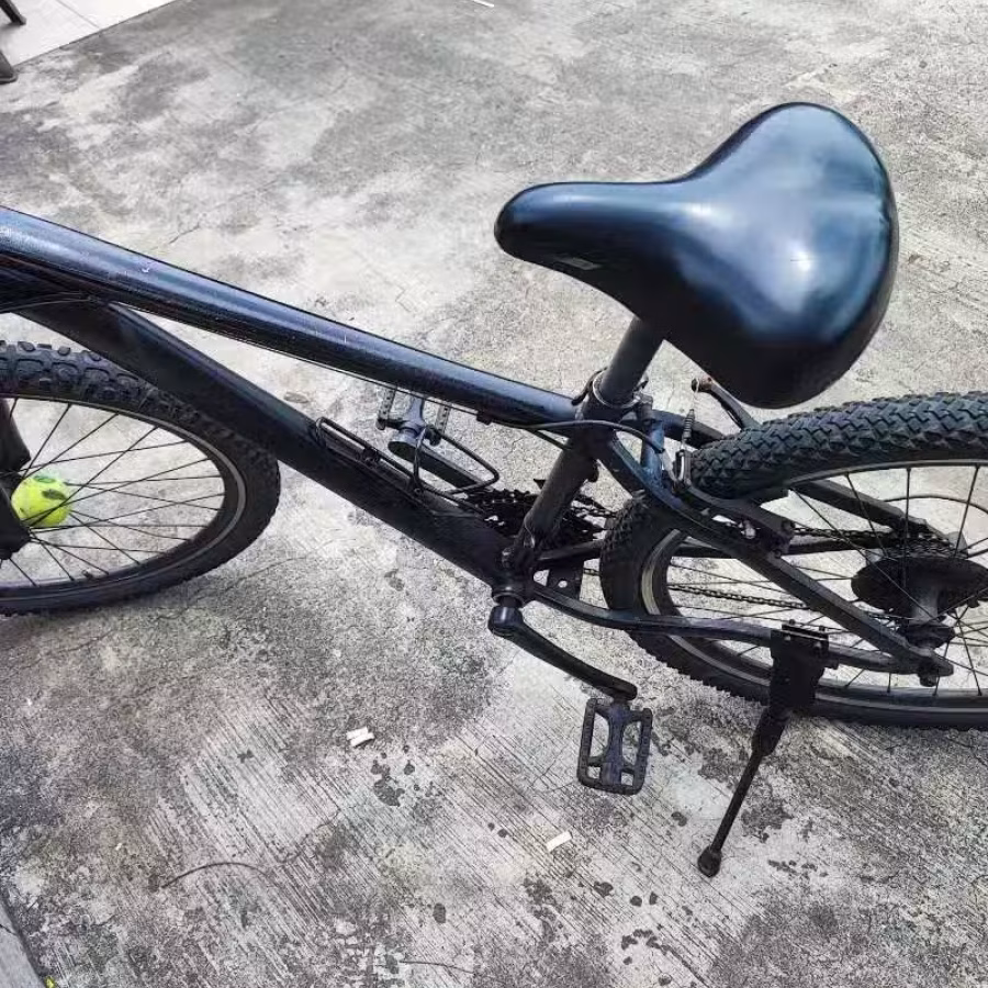勿洛南出售自行车40块，一套修车工具20块 图片 2