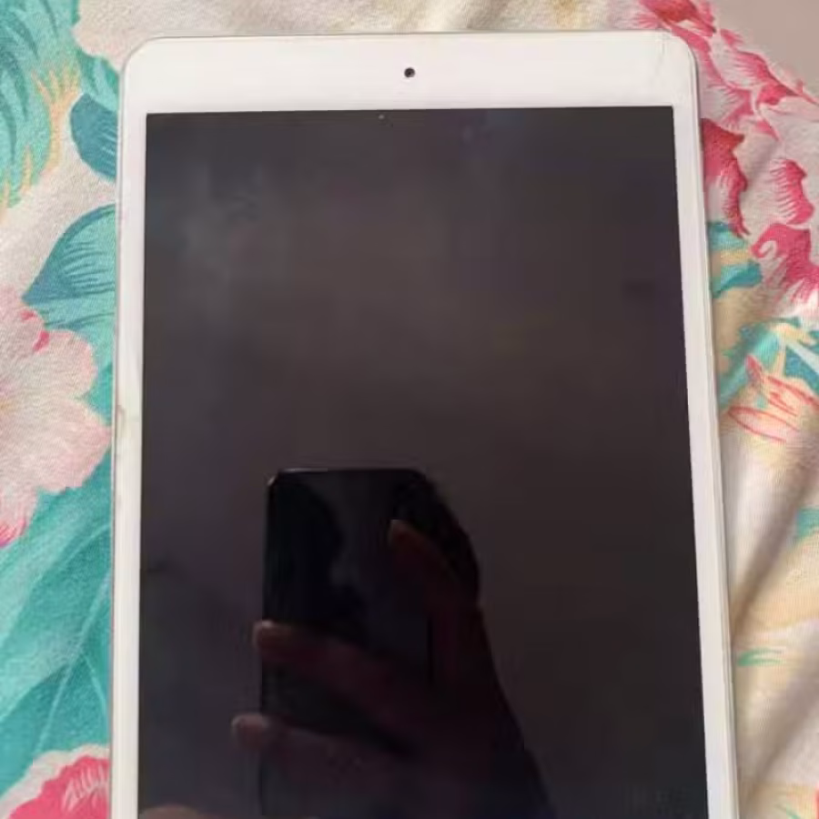 iPad Wi-Fi  图片 1