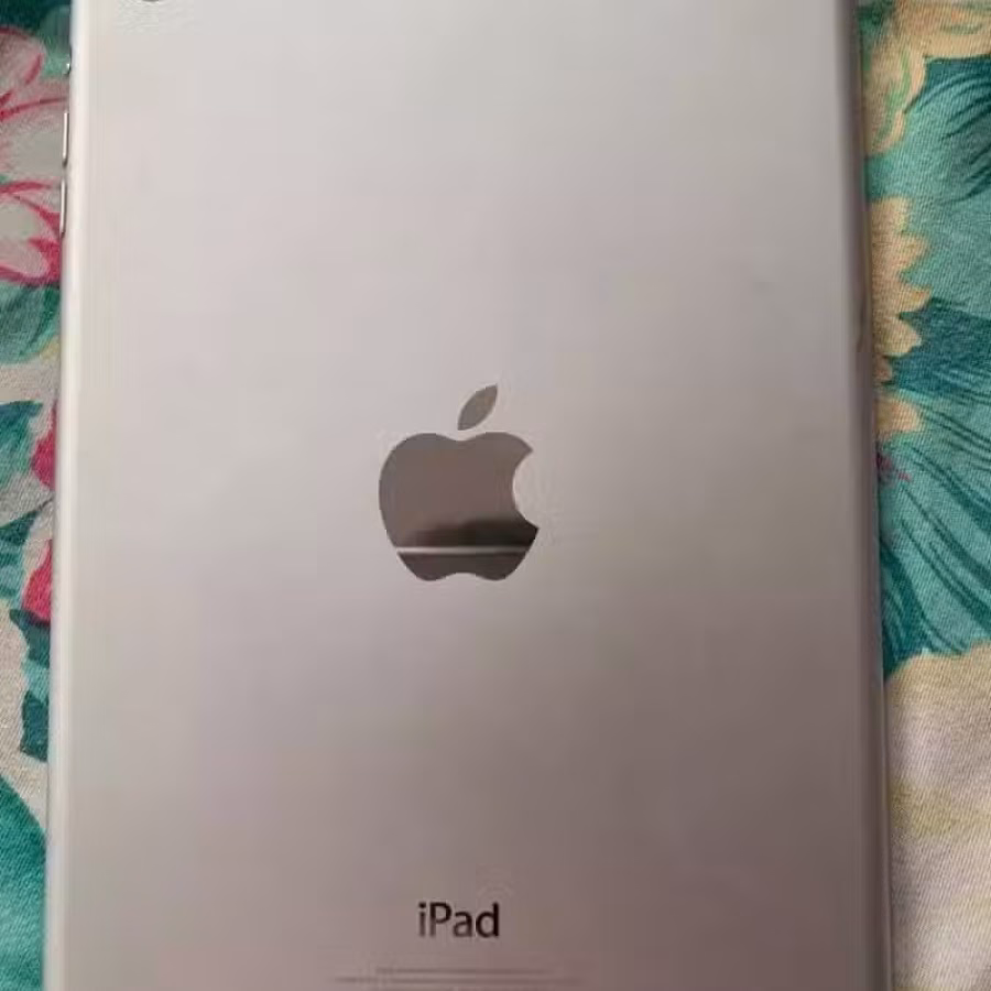 iPad Wi-Fi  图片 2