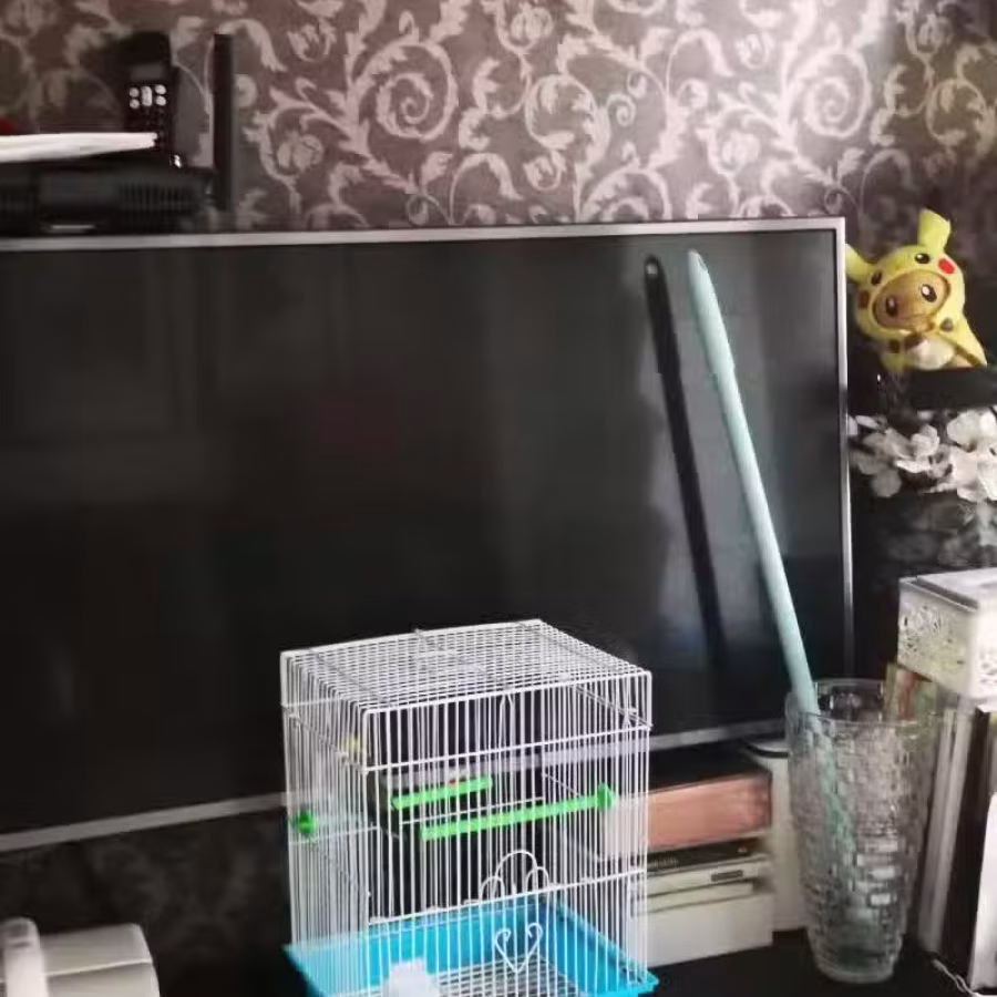 电视机 图片 1