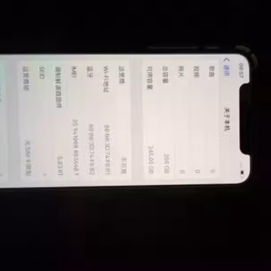 白色x  256G 图片 2