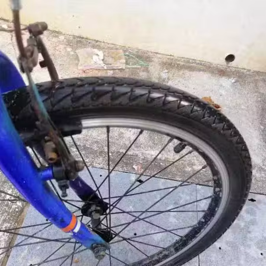 折叠20自行车 图片 3