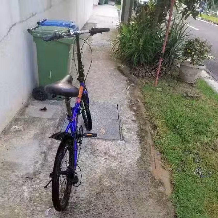 折叠20自行车 图片 4