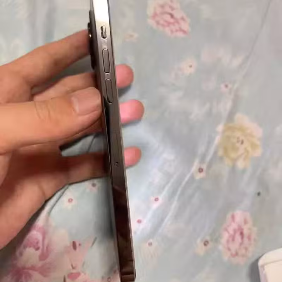 苹果12pm   256g 图片 2