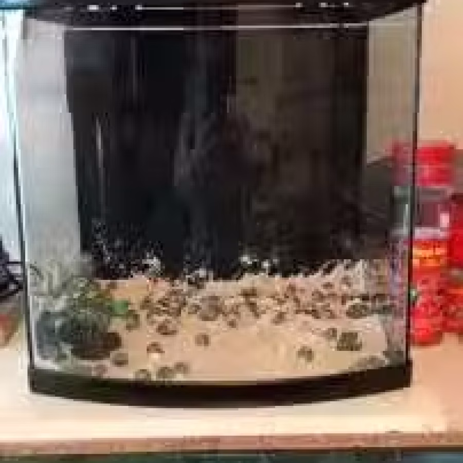 养鱼器材(鱼缸，过滤器材) 图片 4