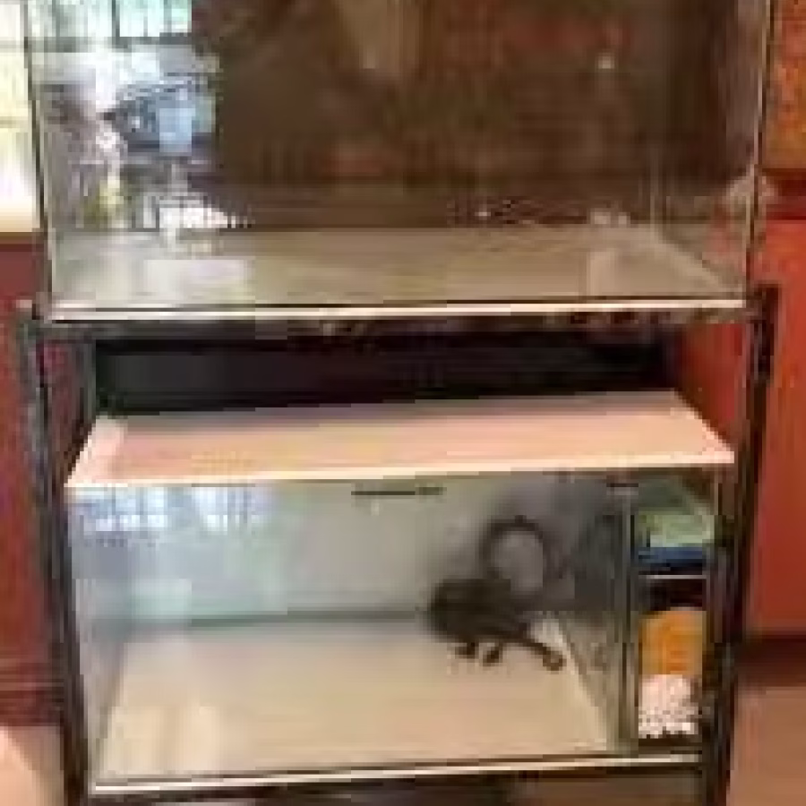 养鱼器材(鱼缸，过滤器材) 图片 6