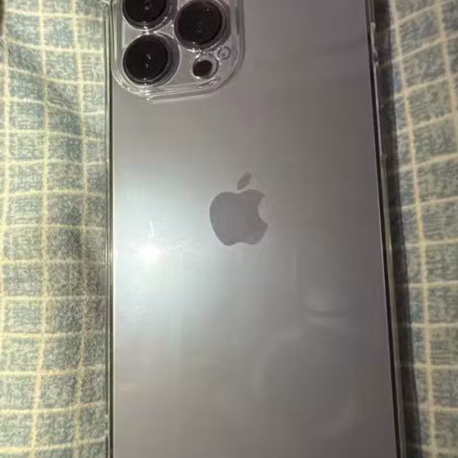 iPhone 13ProMax 图片 1