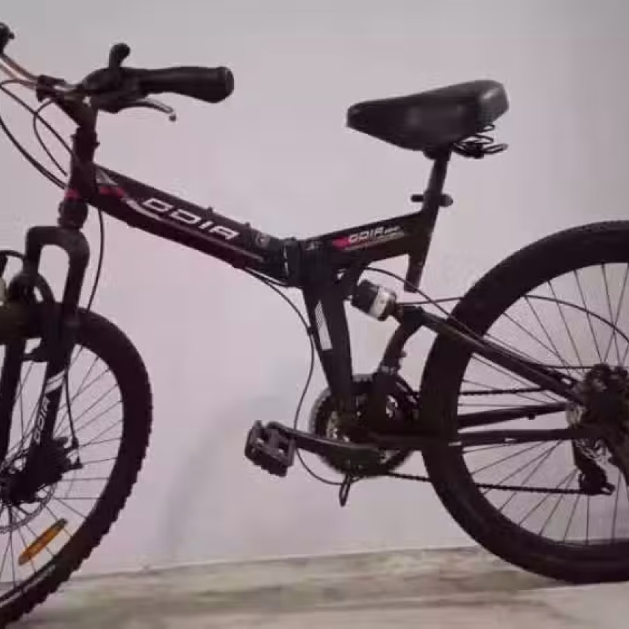 折叠式自行车 图片 2