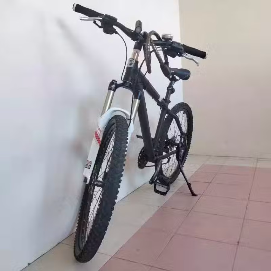 美国 崔克山地车 图片 1