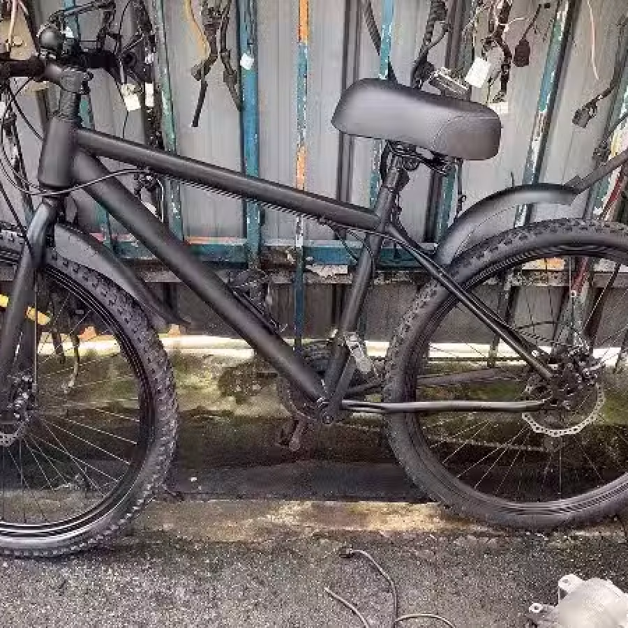 自行车40出售俩条轮胎新的 图片 1