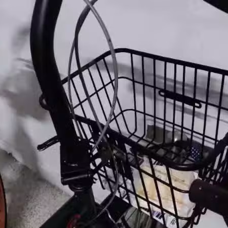 金文泰自行车状态良好 图片 2