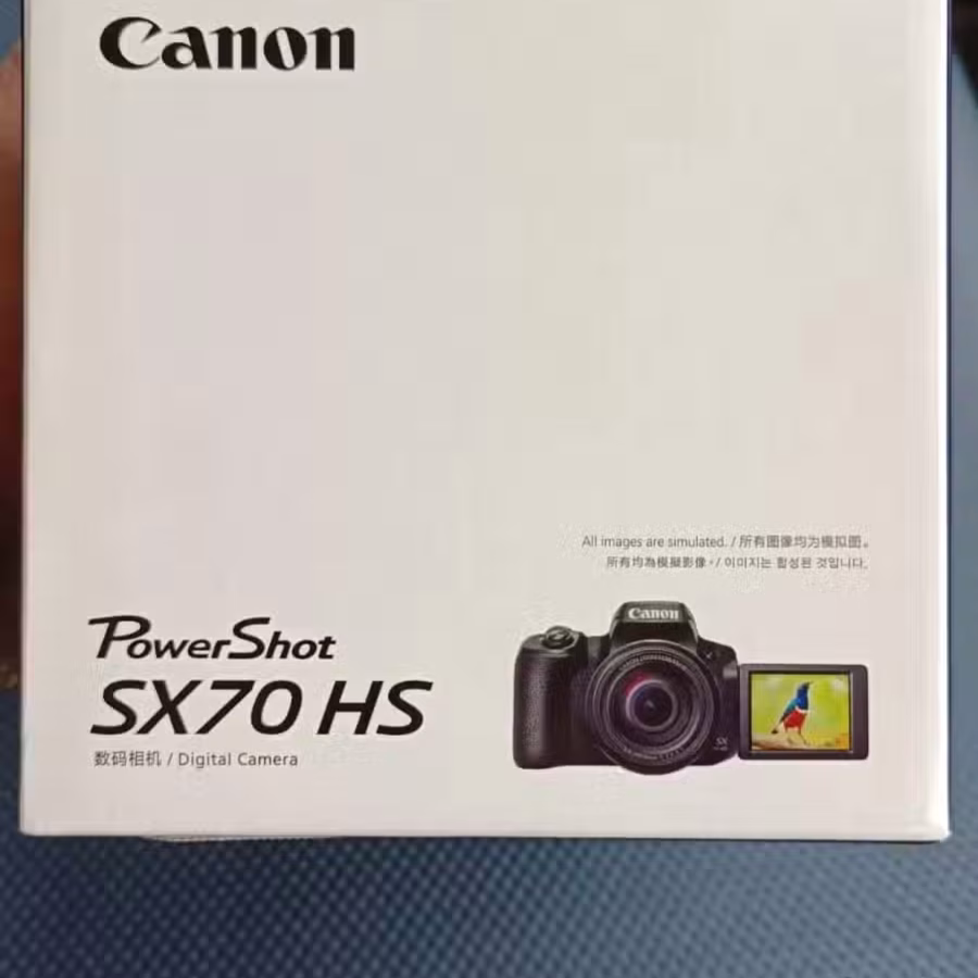佳能Power Shot SX70 HS 图片 4