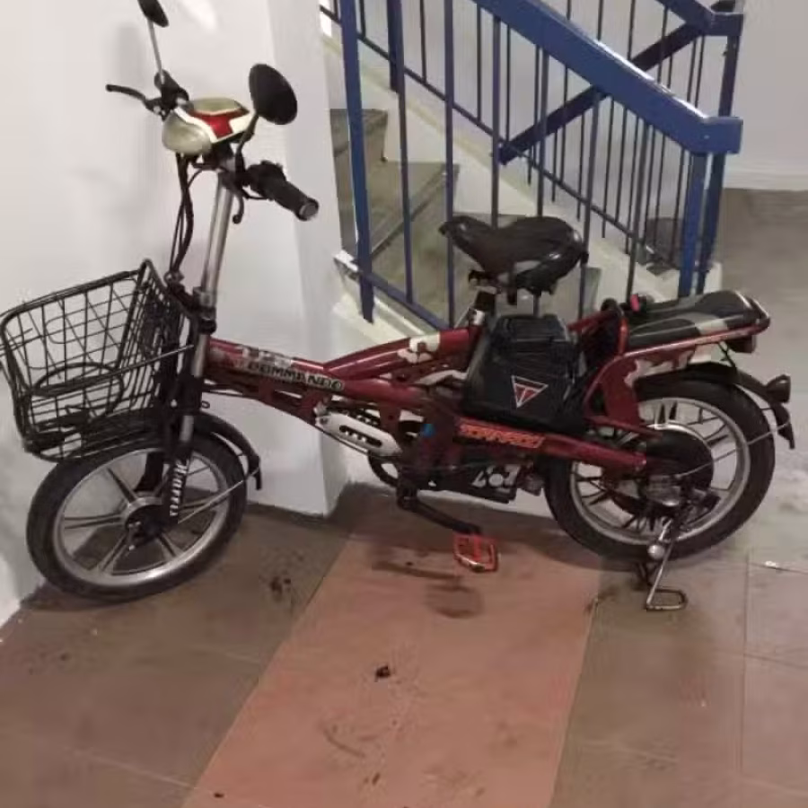 电动自行车 图片 1