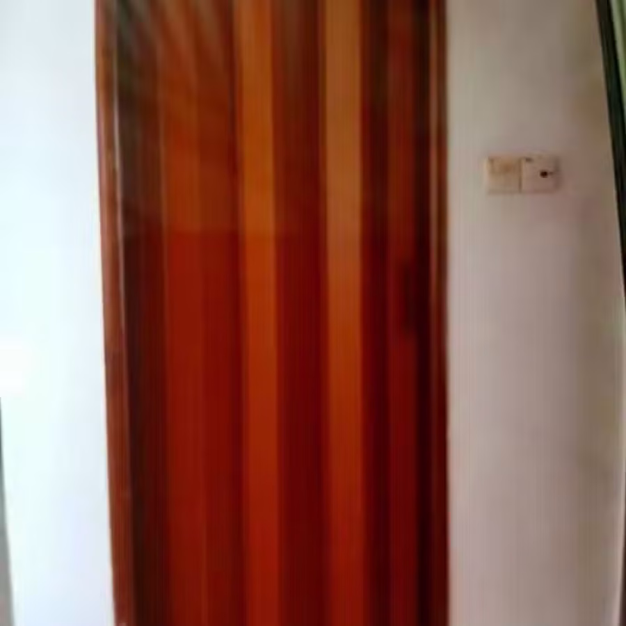 Toilet PVC  folding door 图片 4