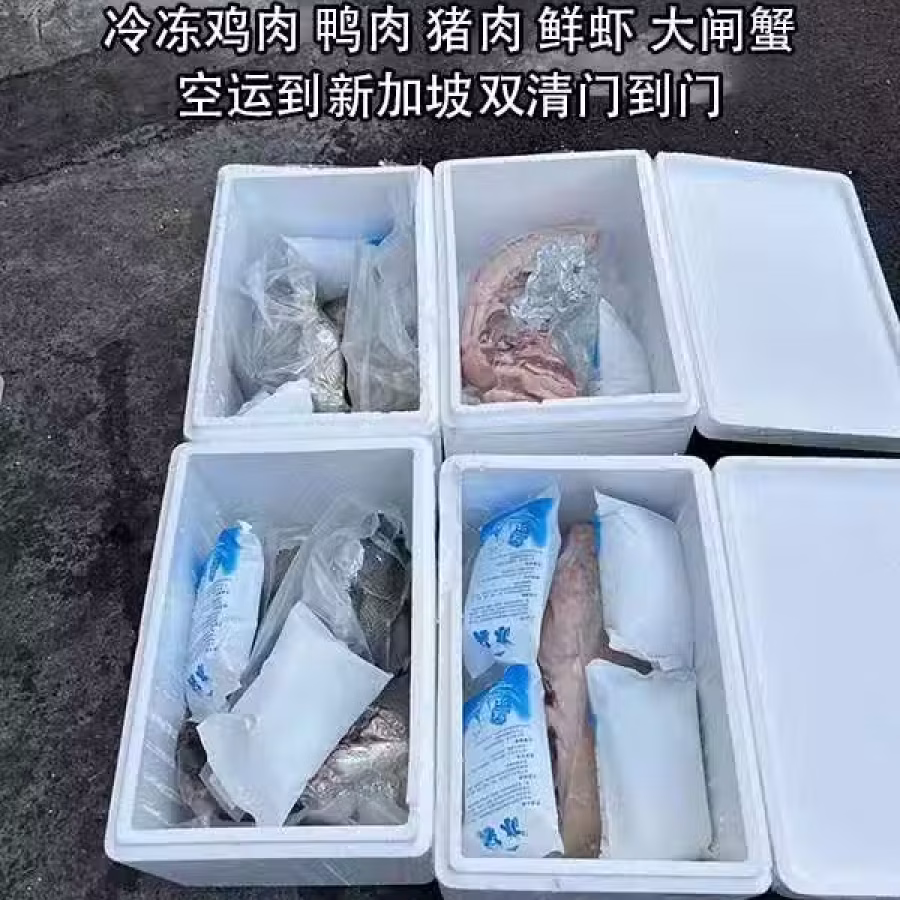中国到新加坡冰冻货空运冷链专线 图片 2