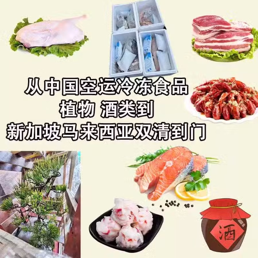 中国到新加坡冰冻货空运冷链专线 图片 3