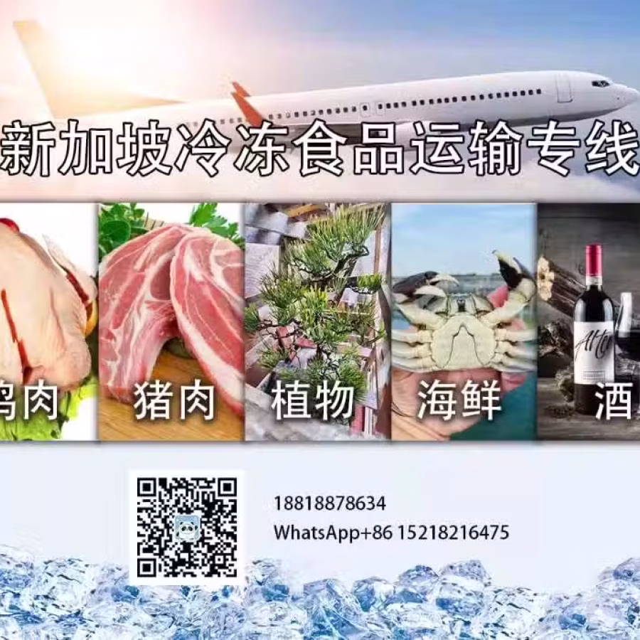 中国到新加坡冰冻货空运冷链专线 图片 4