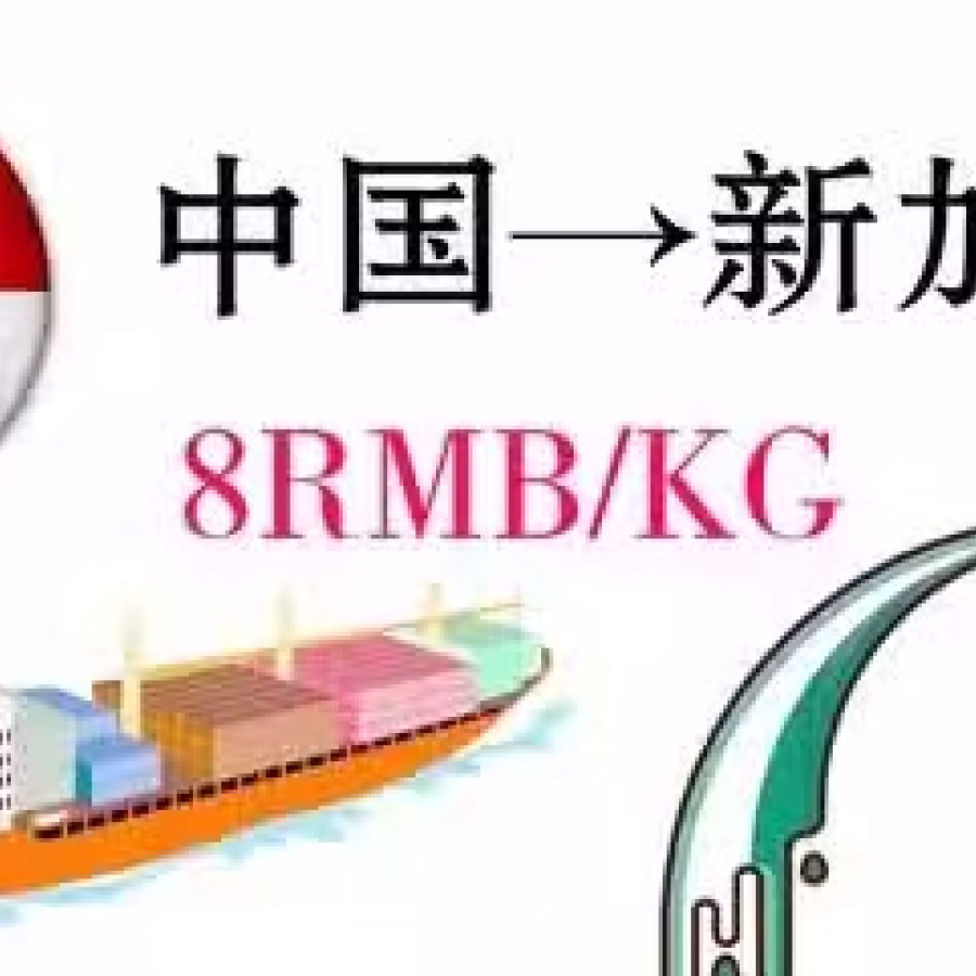 广州至新加坡海运专线，时效快，价格低，送货到门 图片 1