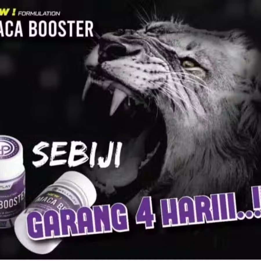 玛卡maca booster 图片 4