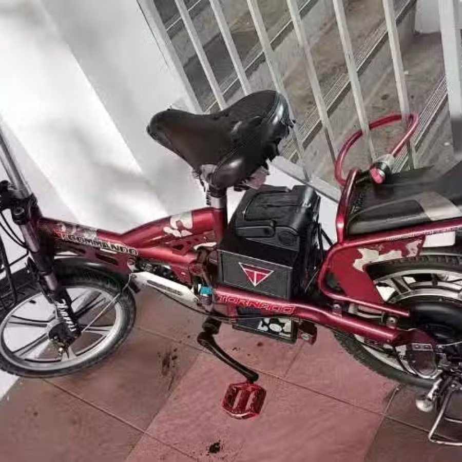 电单车 图片 1
