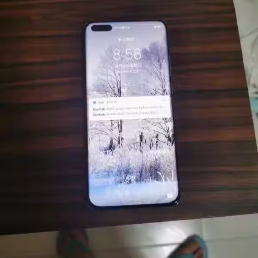 Huawi   p40pro+   512G 图片 2