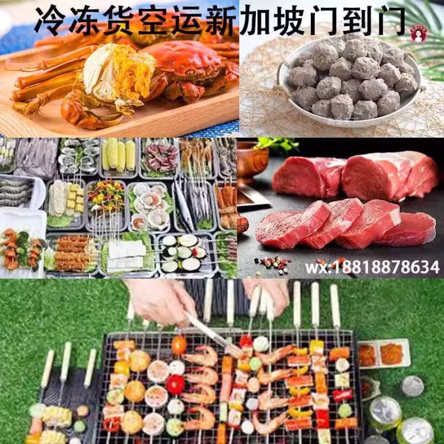 冰冻品空运到新加坡，双清包税到门，价格实惠 图片 1