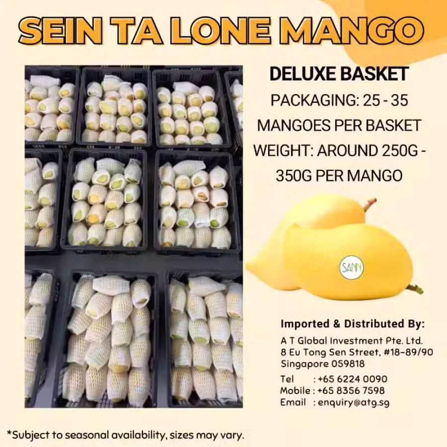 缅甸圣德龙芒果 图片 2