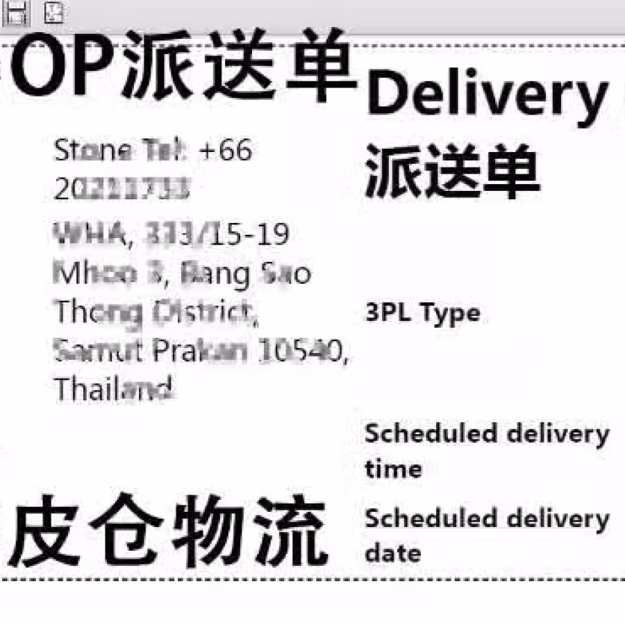 中国货物运输到新加坡虾皮仓，双清到门，OP进仓预约 图片 1