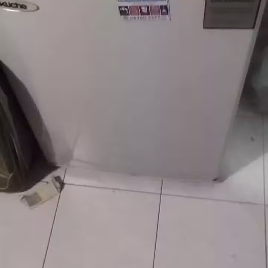 电锅 图片 1