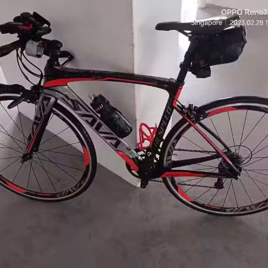 SAVA 公路车 图片 2