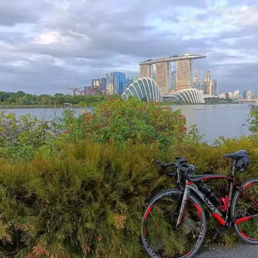 SAVA 公路车 图片 3