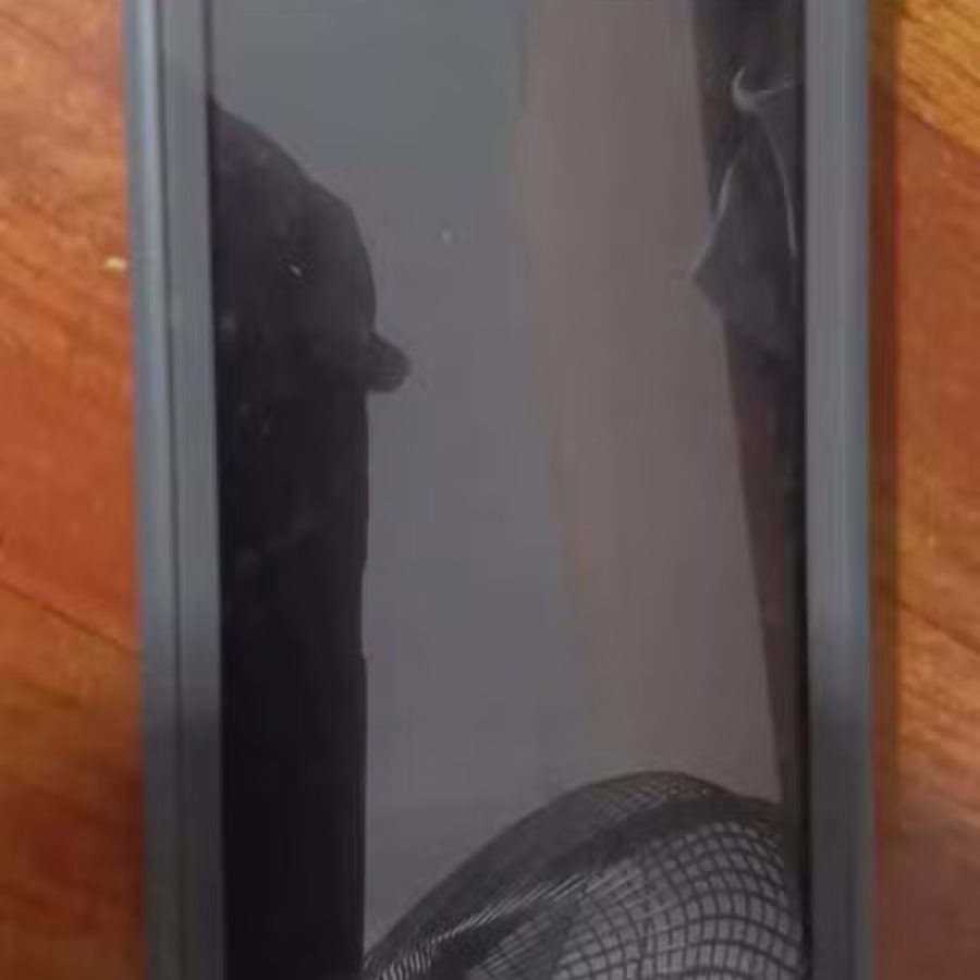switch lite+怪物猎人dlc 图片 1