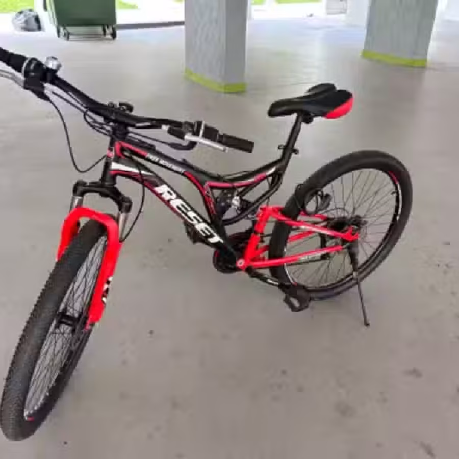 9成新自行车 图片 1
