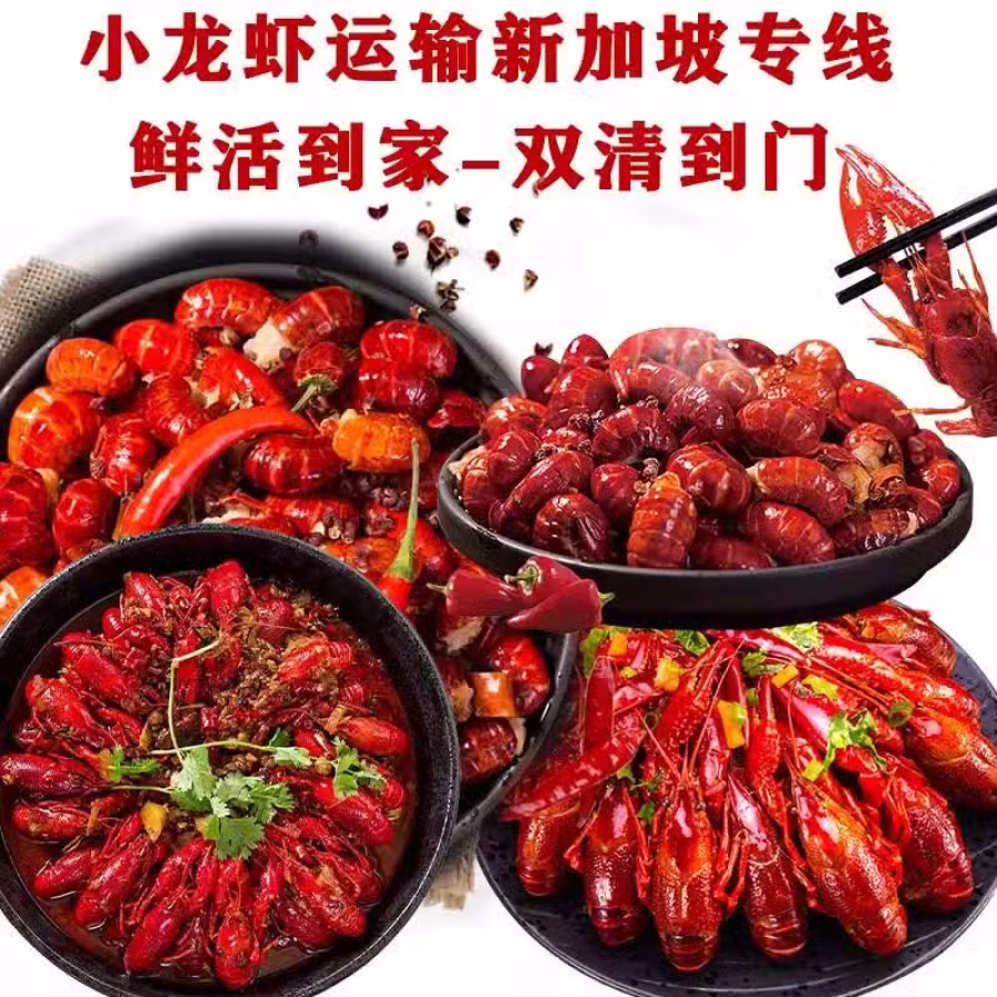小龙虾如何运输到新加坡，多少天能到？小编带你了解 图片 3