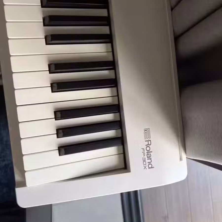 roland fp30x 图片 2
