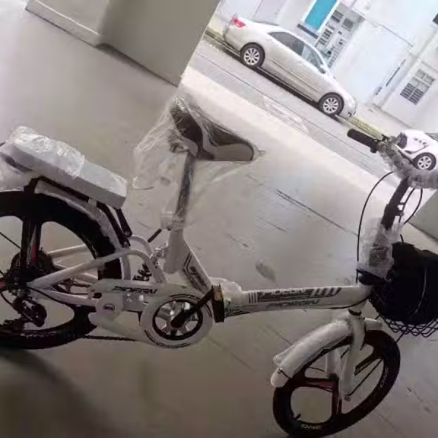 折叠自行车 图片 5