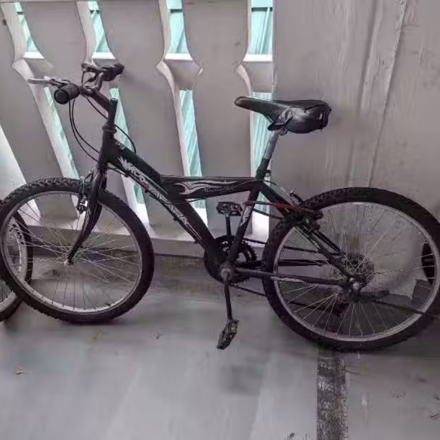 自行车脚车 图片 1