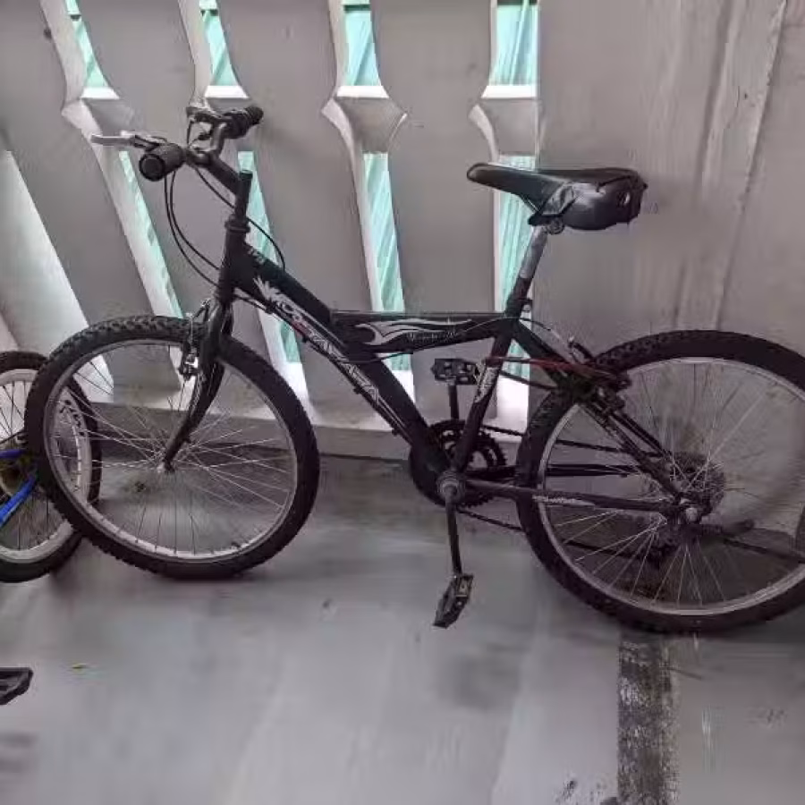 自行车脚车 图片 2