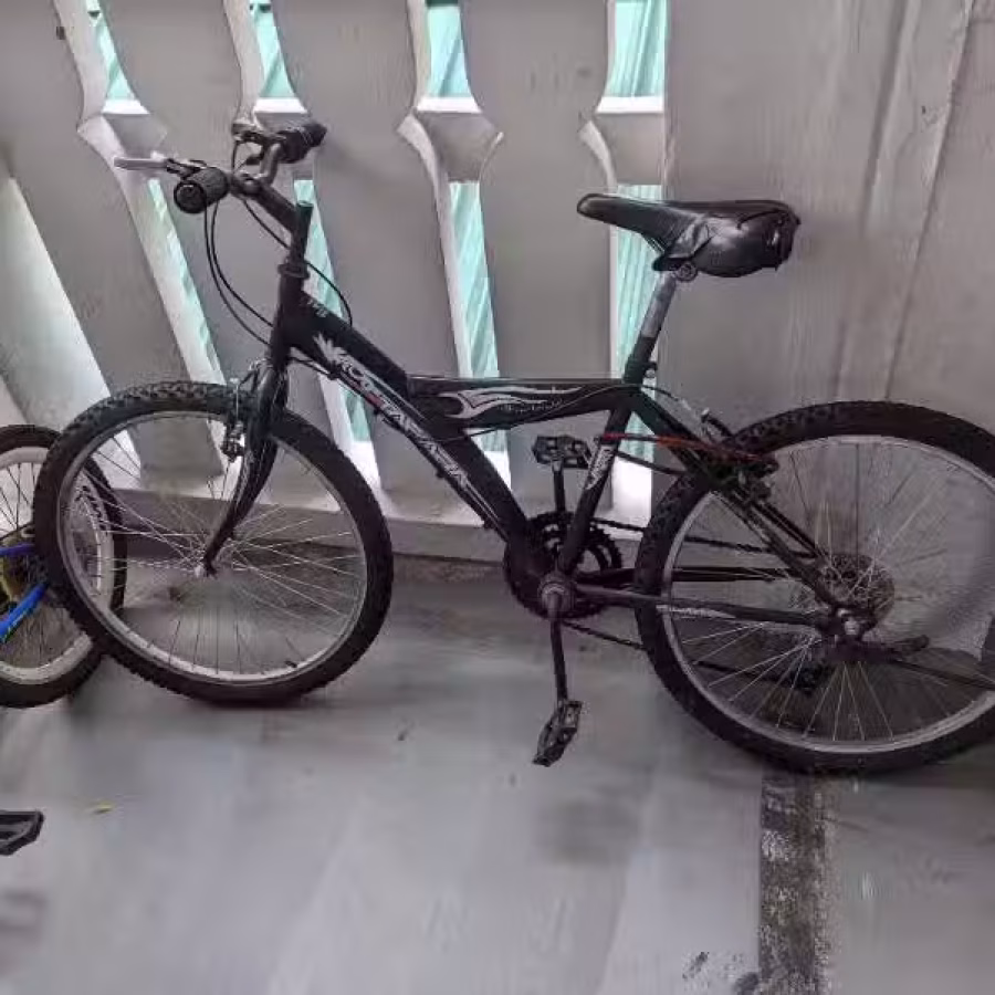 自行车脚车 图片 3