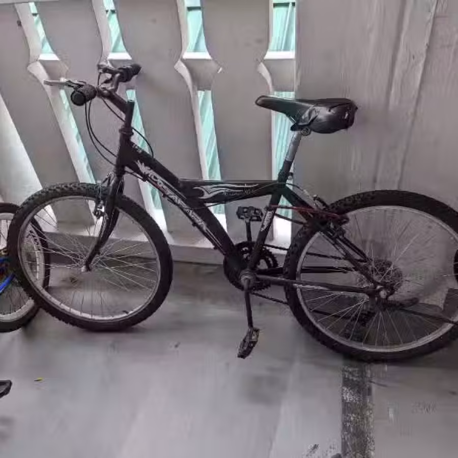 自行车脚车 图片 4