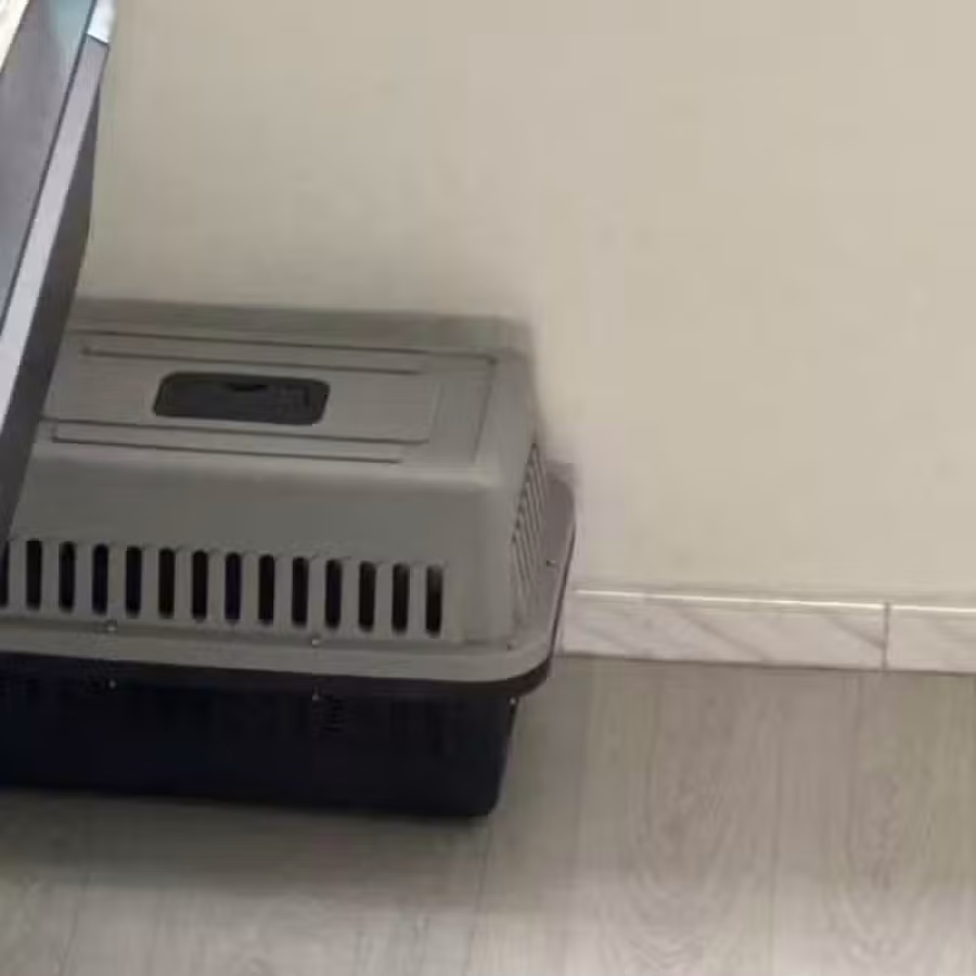 宠物用品宠物箱 图片 2