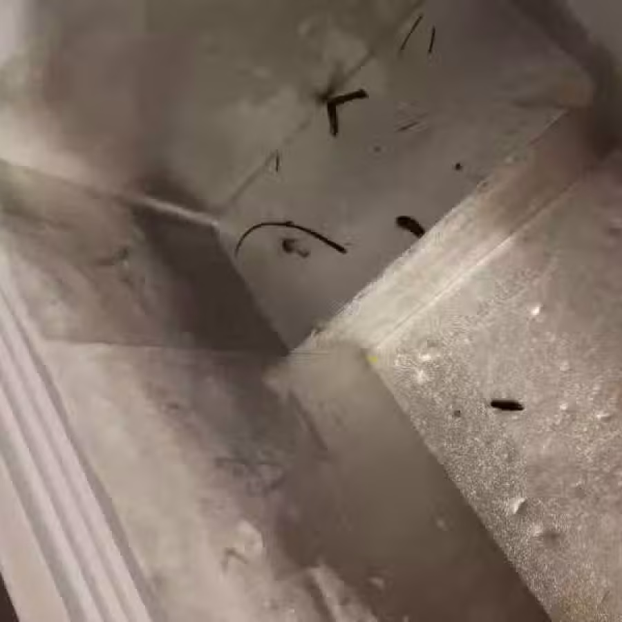 冰柜 图片 2