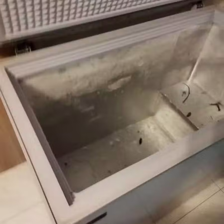 冰柜 图片 3