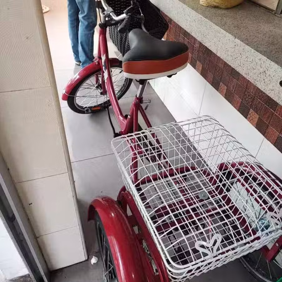 新买的三轮车 图片 1